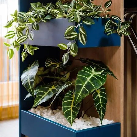 Northbay Sunrise View - Infinity Pool & *