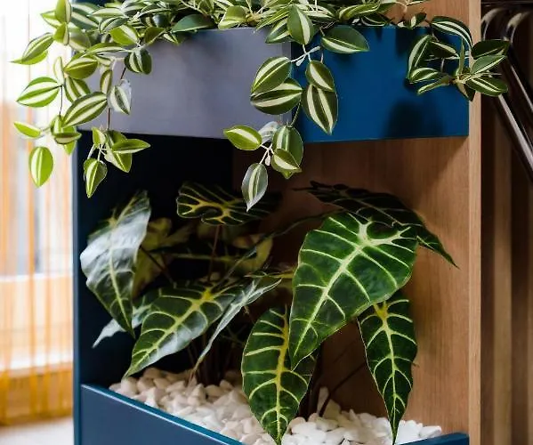 Northbay Sunrise View - Infinity Pool & *